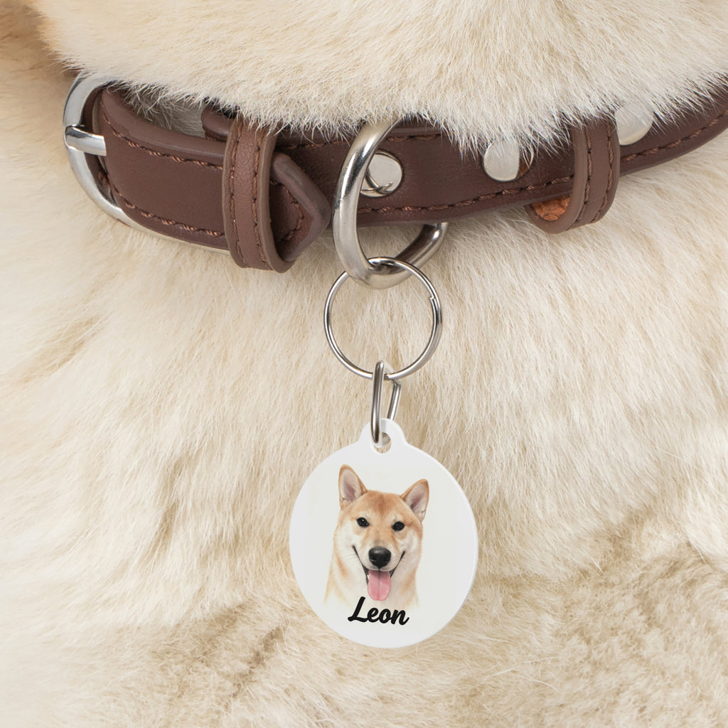 Pet Tag
