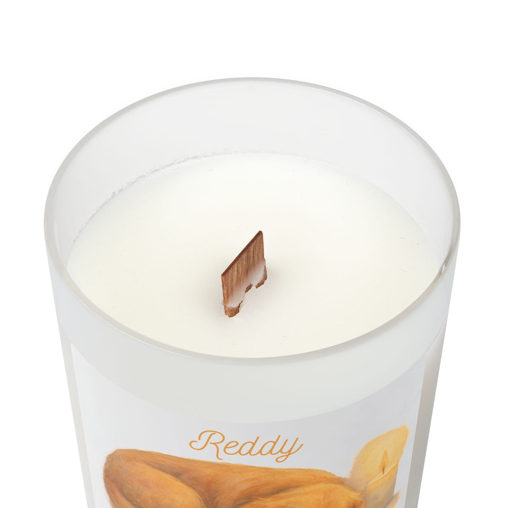 Frosted Glass Candle, Cozy Home Decor, Gifts for Pet Lovers, Scented Candle,  Hand-poured in the USA, Pet Memorial
