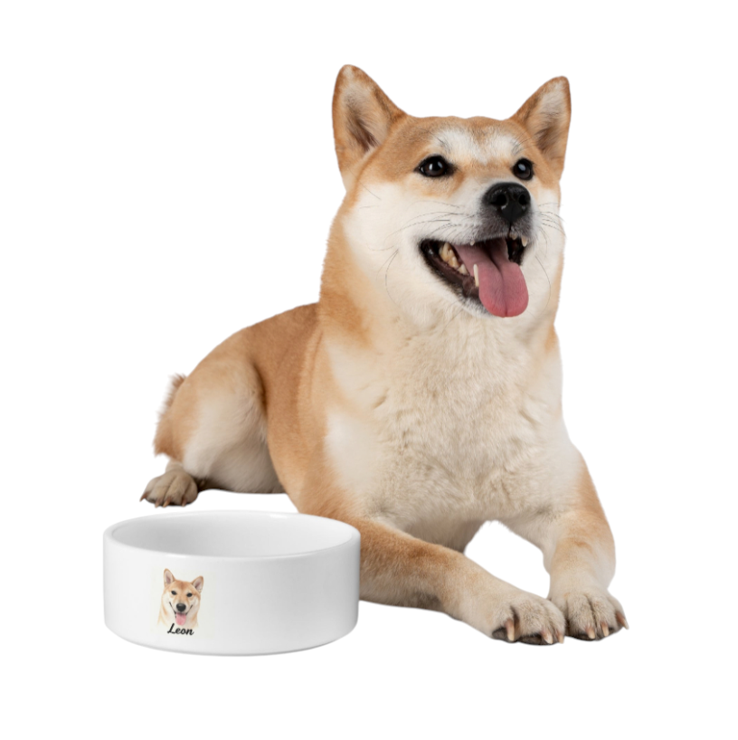 For Your Furry Friend