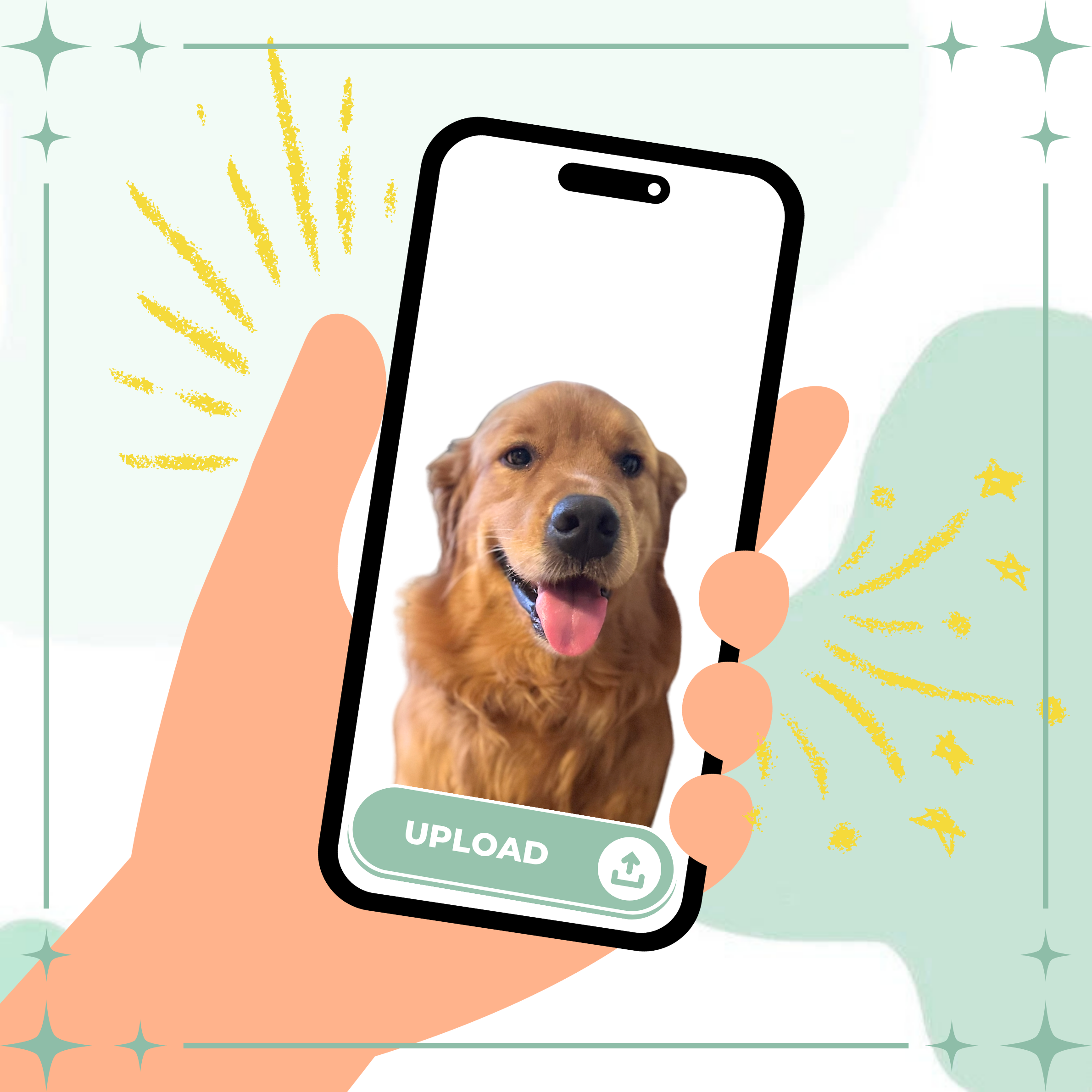 1. Upload your pet's photo