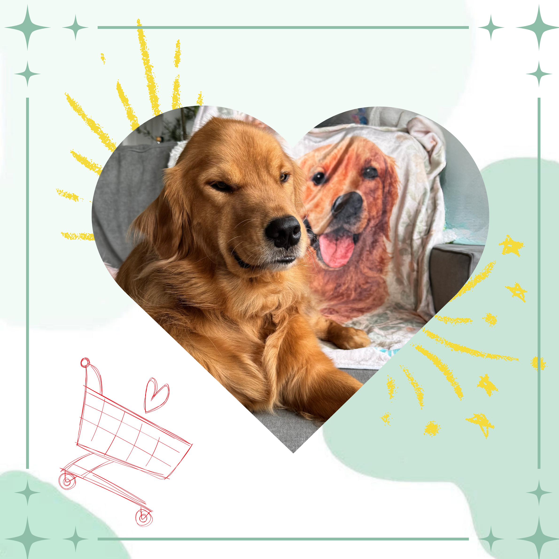 3. Choose the ones you love